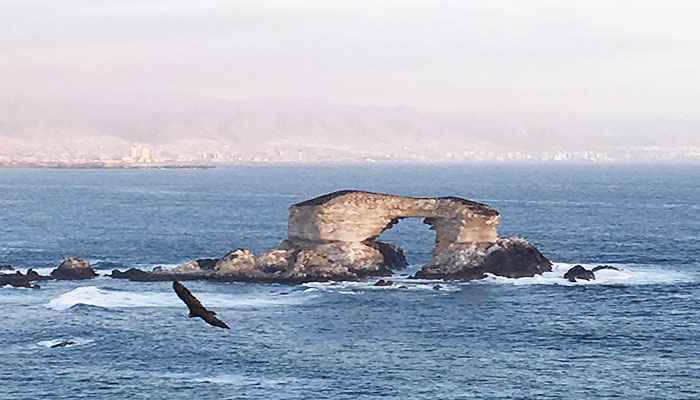 vé máy bay đi antofagasta