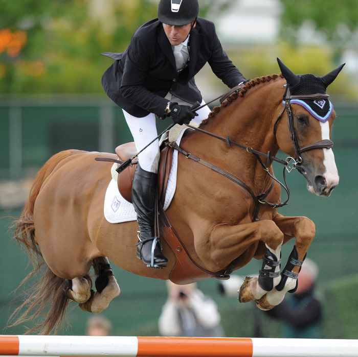 Spruce Meadows với những cuộc đua ngựa ngoài trời sôi động.