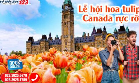 Hòa mình vào Lễ hội hoa tulip Canada rực rỡ ở Ottawa