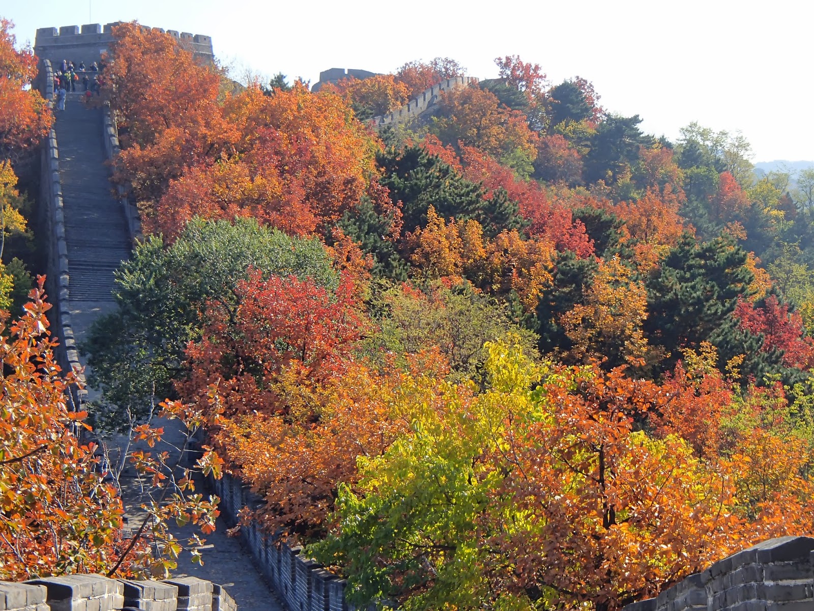 badaling-great-wall-autumn-vemaybay123