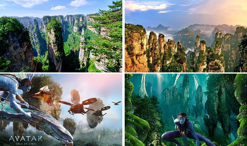 Núi nổi trong bộ phim Avatar  núi Hallelujah ở công viên Zhangjiajie  Trung Quốc