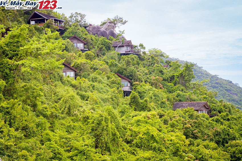Ẩn mình trong rừng rậm: Thiên đường trần gian.
