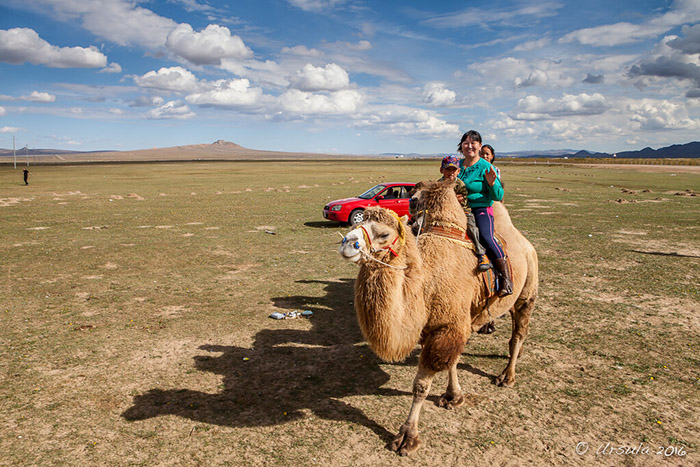 Vé máy bay giá rẻ đi Ulan Bator – Mông Cổ 14