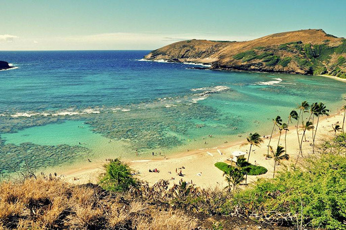 Vé máy bay giá rẻ đi Honolulu – Hawaii 16