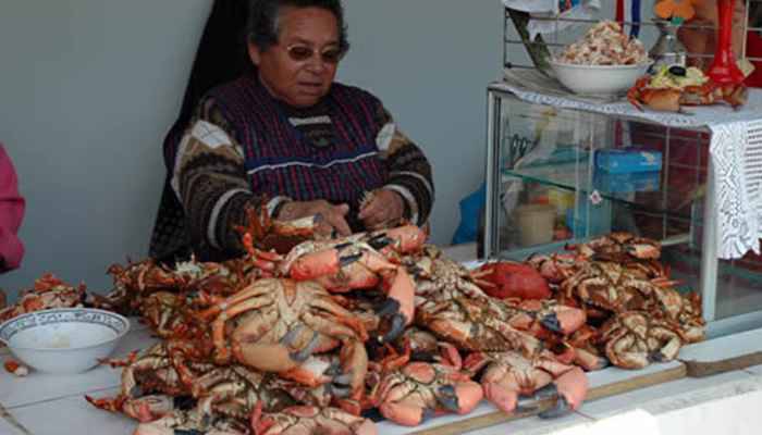 vé máy bay đi concepción chile